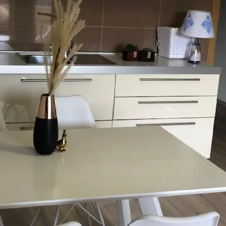 Apartment Josko